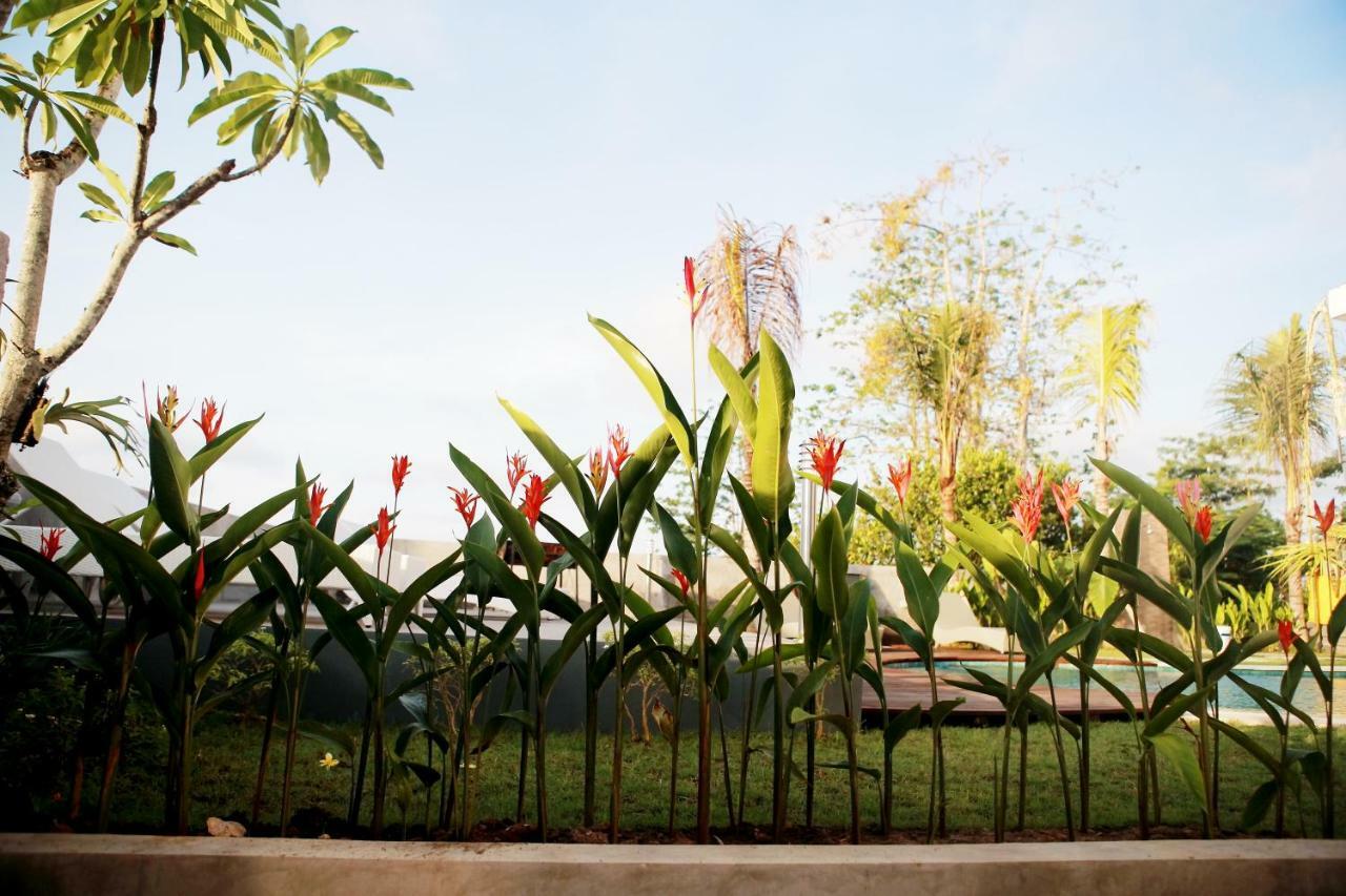 Vanilla Jimbaran (Bali)